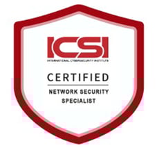 ICSI-10